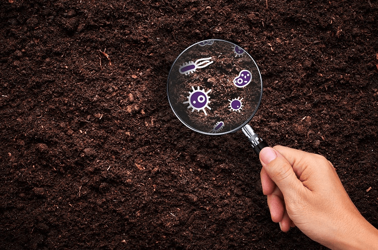 This image is showing soil and a hand holding lens.